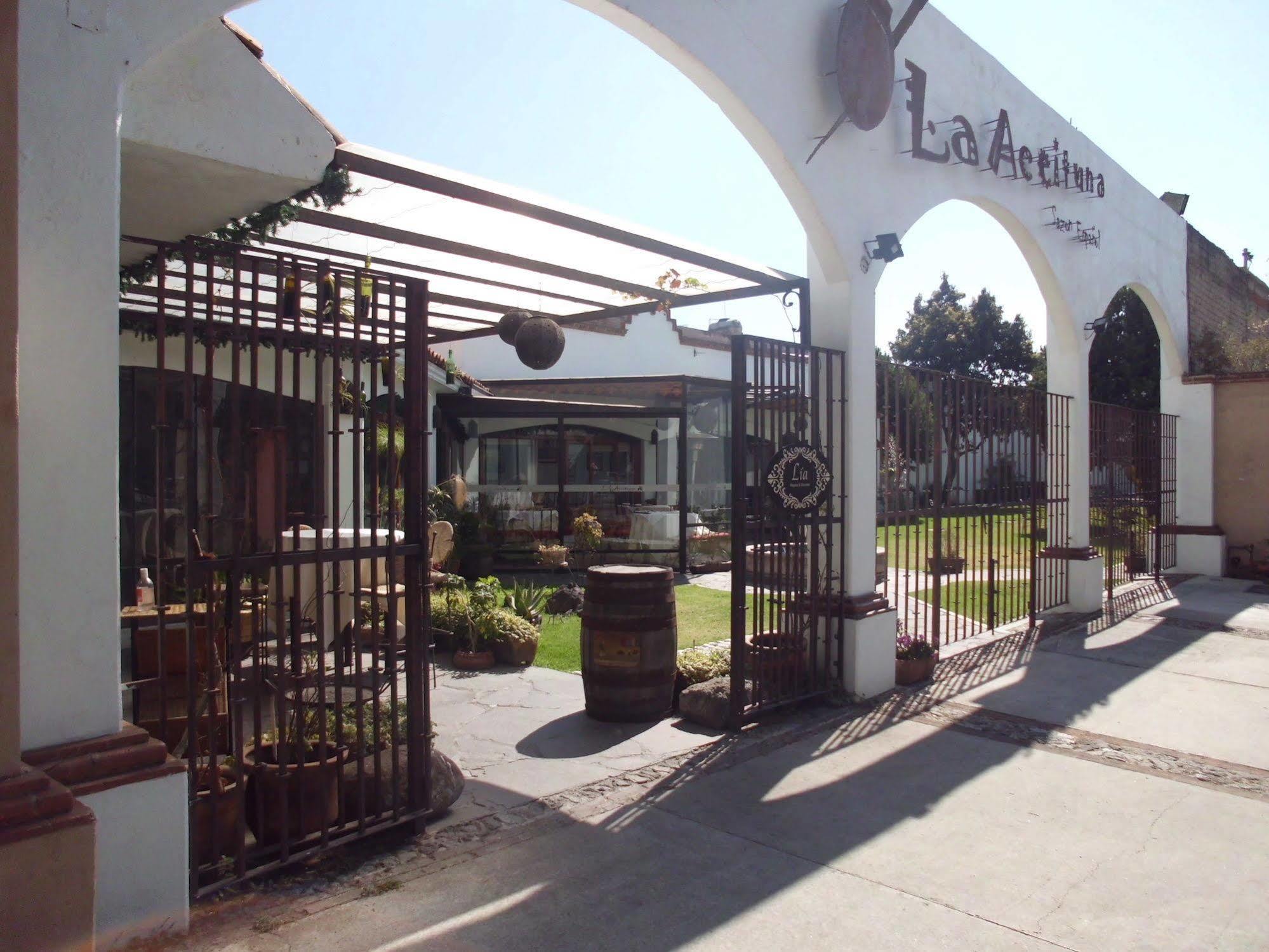 Hotel La Posada Apizaco Kültér fotó